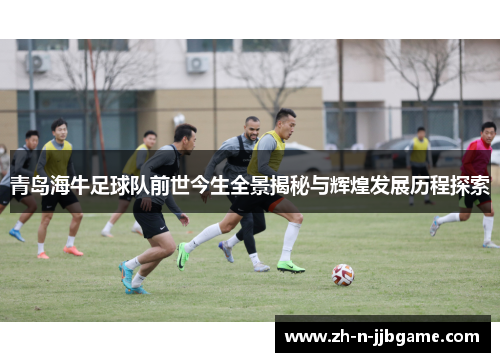 青岛海牛足球队前世今生全景揭秘与辉煌发展历程探索